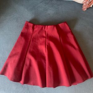 Zara Burgundy Skater Skirt